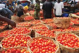 Tomato scarce in market